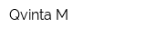Qvinta-M