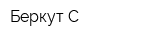 Беркут-С