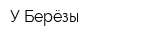 У Берёзы