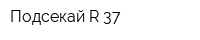 Подсекай R-37