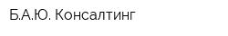 БАЮ-Консалтинг