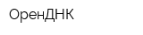 ОренДНК