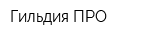 Гильдия ПРО