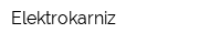 Elektrokarniz