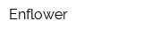 Enflower