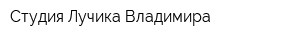 Студия Лучика Владимира