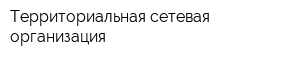 Территориальная сетевая организация