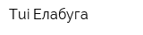 Tui Елабуга