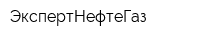 ЭкспертНефтеГаз