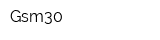 Gsm30