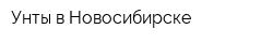Унты в Новосибирске