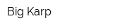 Big Karp