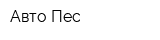 Авто-Пес