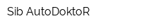 Sib-AutoDoktoR