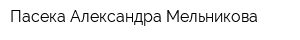 Пасека Александра Мельникова