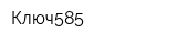 Ключ585