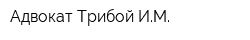 Адвокат Трибой ИМ