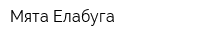 Мята-Елабуга