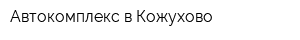 Автокомплекс в Кожухово