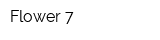 Flower-7