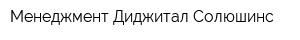 Менеджмент Диджитал Солюшинс
