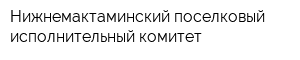 Нижнемактаминский поселковый исполнительный комитет