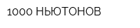 1000 НЬЮТОНОВ