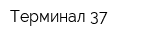 Терминал 37