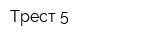 Трест 5