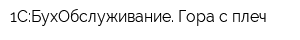 1С:БухОбслуживание Гора с плеч