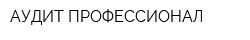АУДИТ ПРОФЕССИОНАЛ