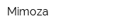 Mimoza
