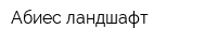 Абиес ландшафт