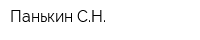 Панькин СН