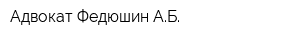 Адвокат Федюшин АБ