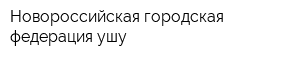 Новороссийская городская федерация ушу