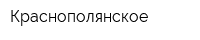 Краснополянское