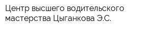 Центр высшего водительского мастерства Цыганкова ЭС