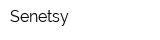 Senetsy