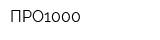 ПРО1000
