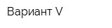 Вариант V