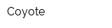 Coyote