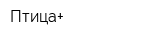 Птица+