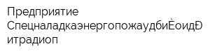 Предприятие Спецналадкаэнергопожаудитрадиоприборавтоматика
