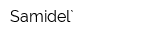 Samidel`