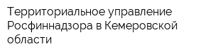 Территориальное управление Росфиннадзора в Кемеровской области