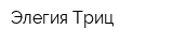 Элегия-Триц