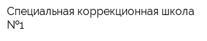Специальная коррекционная школа  1