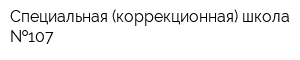Специальная (коррекционная) школа  107