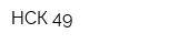 НСК 49